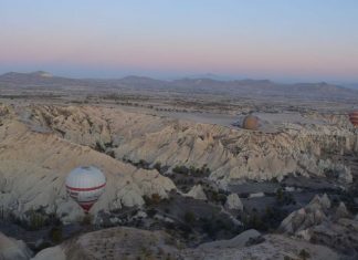 Ionic Thought’s Influence