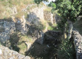 Serbia’s Economic Ties with Austria