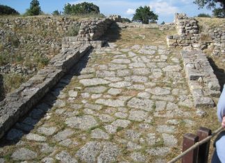 The Democratic Spirit of Serbia