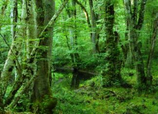 The Letters to the Seven Churches A Lesson for the Church