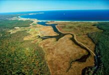 Jesus as the Lord of All Churches