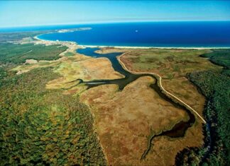 Jesus as the Lord of All Churches