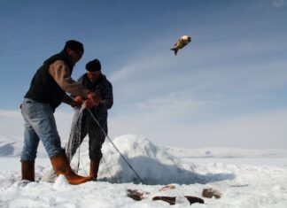 Exploring the Upper Nile