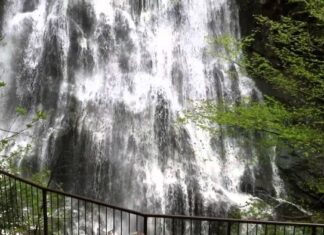 The March Against the Ammonians