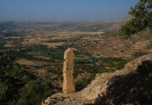 Cambyses’ Cruelty Beyond His Own Family