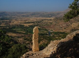 Cambyses’ Cruelty Beyond His Own Family